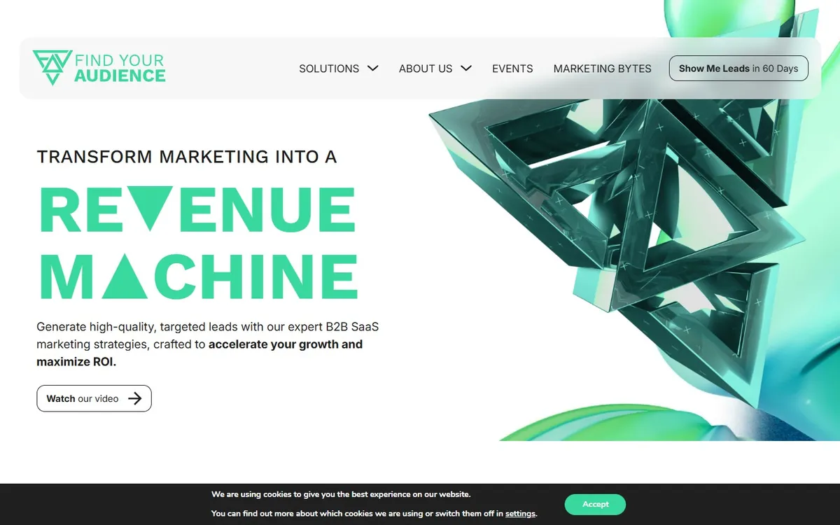 Find Your Audience agency website